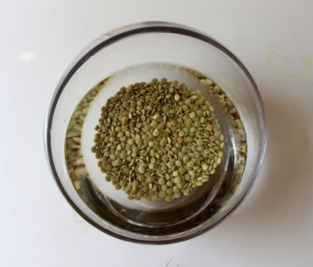 lentils in water