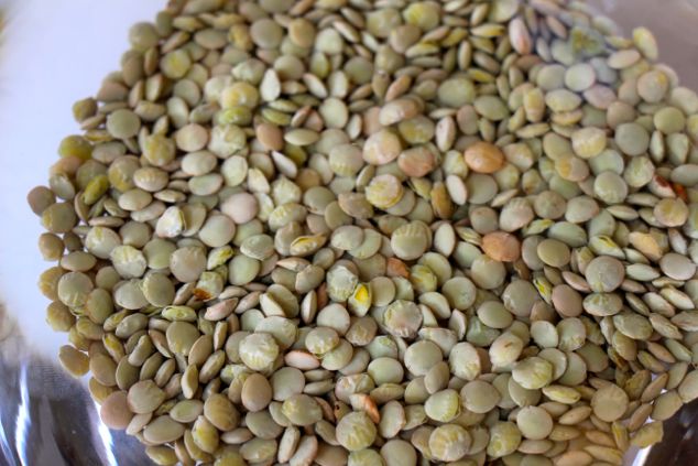 lentils up close