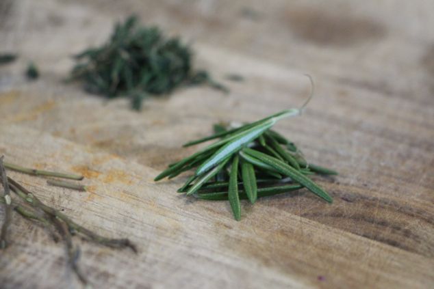 herbs up close