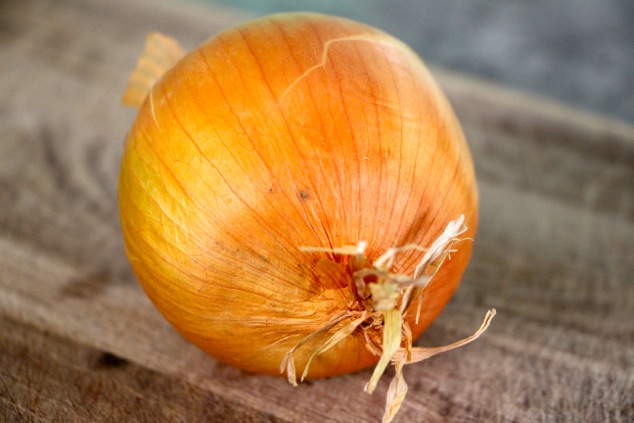onion up close