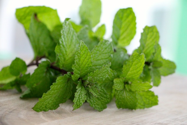 mojito mint leaves up close