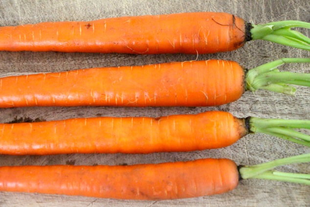 carrots lined up