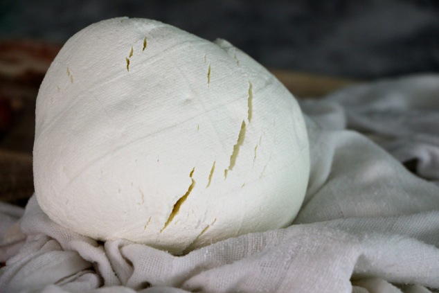 out of cheesecloth labneh