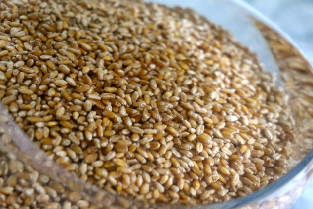 soaking wheat berries