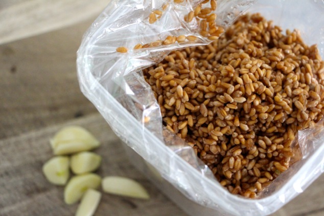 wheat berries in cooking bag