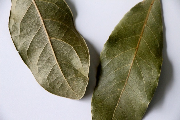 bay leaves up close