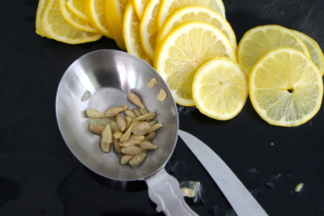 lemon slices and seeds