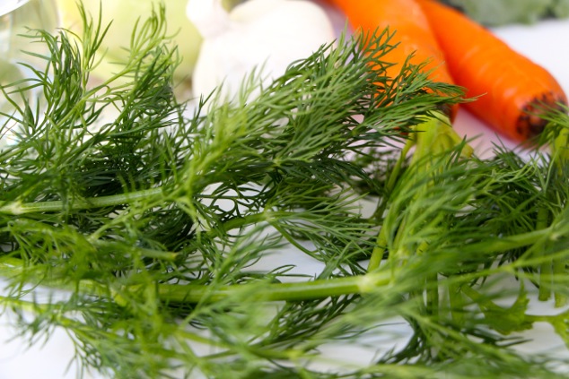 Dill in ingredients up close