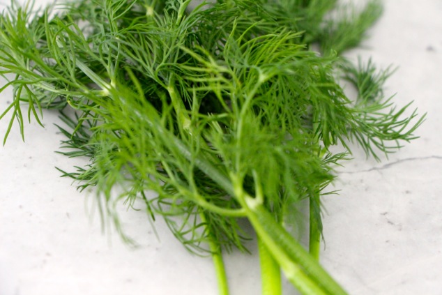 dill up close
