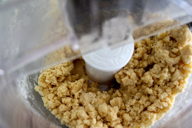 dough in food processor