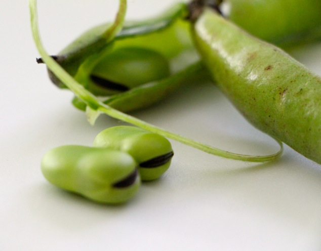 peeling fava beans up close