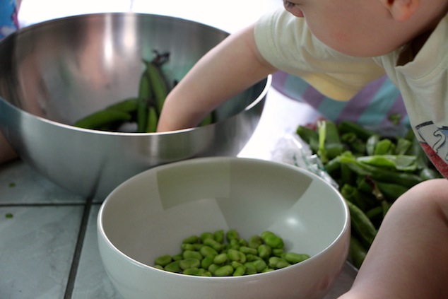 fava beans and kids