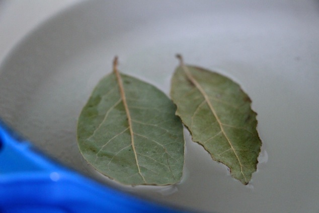 bay leaves in pot of water