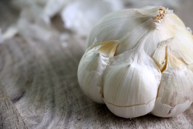 garlic head up close