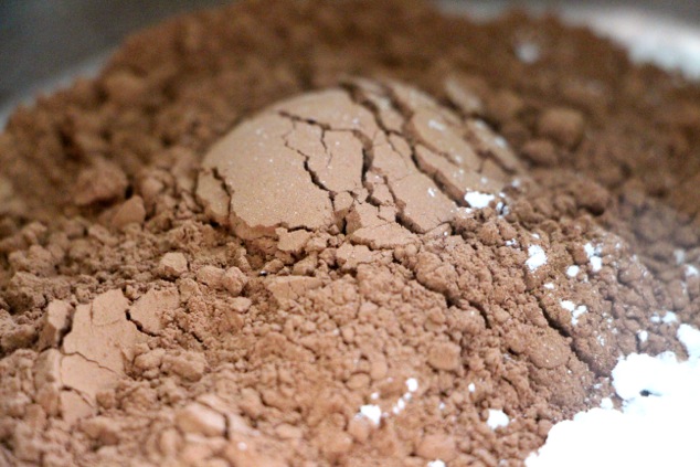 cocoa powder up close