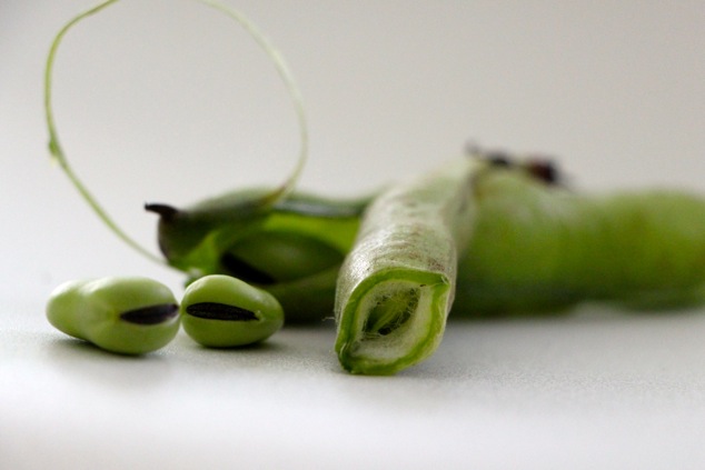 peeling fava beans