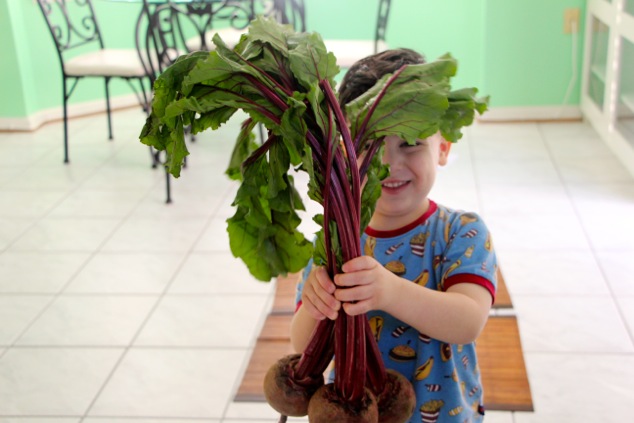 holding beets