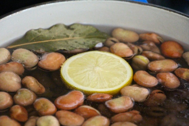 adding fava bean into pot
