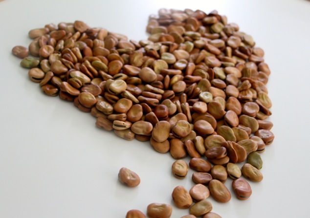 dry fava beans heart