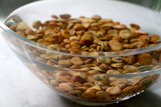 dry fava beans soaking in water