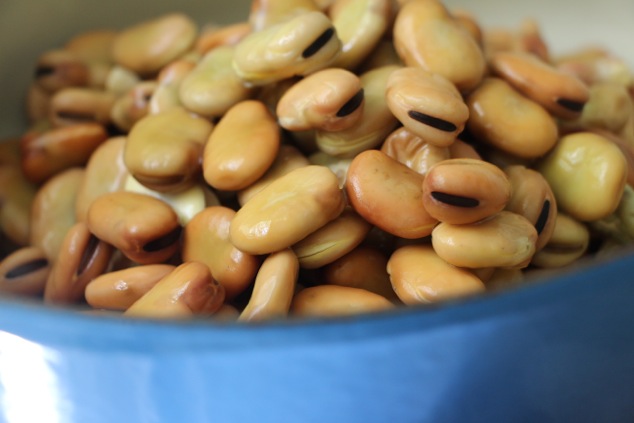 soaked fava beans in a pot