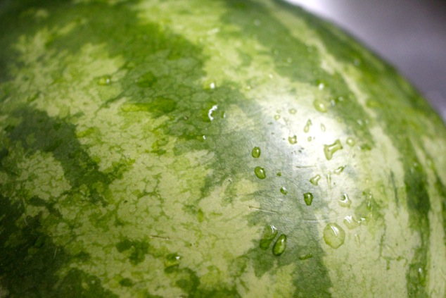 watermelon outside close up