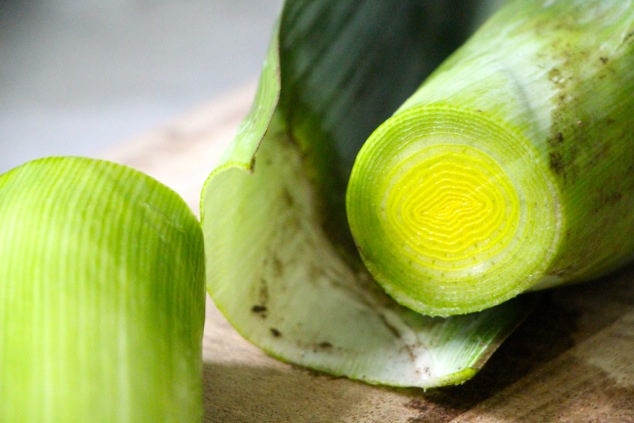 leek with dirt up close