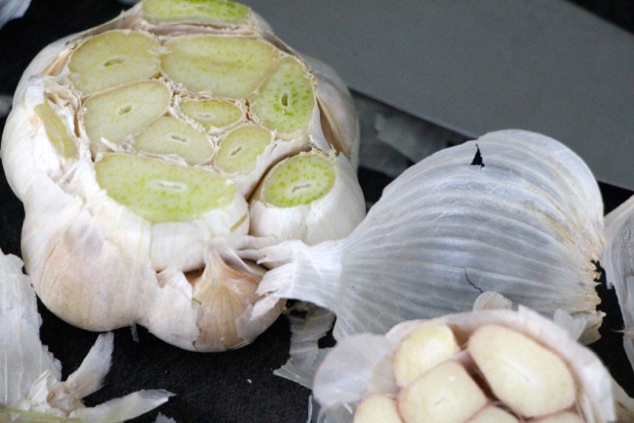 cutting garlic head up close