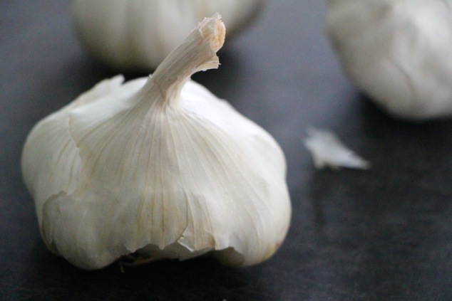 garlic head up close
