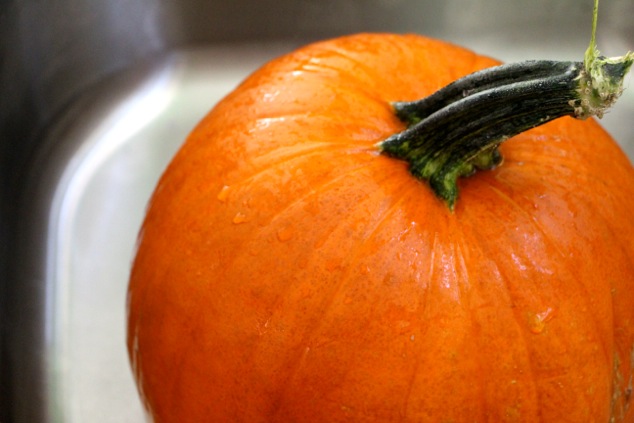 washing pumpkin in the sink