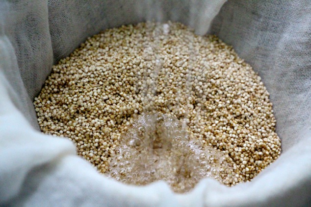 rinsing quinoa