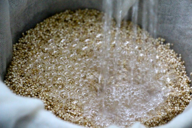 rinsing quinoa with water