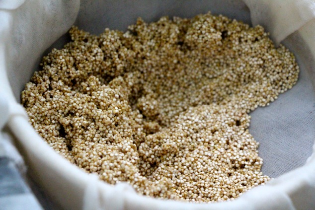 washing quinoa