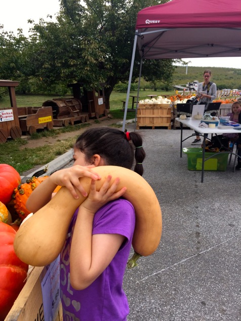 choosing-a-butternut-squash