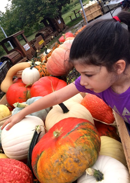choosing-a-pumpkin