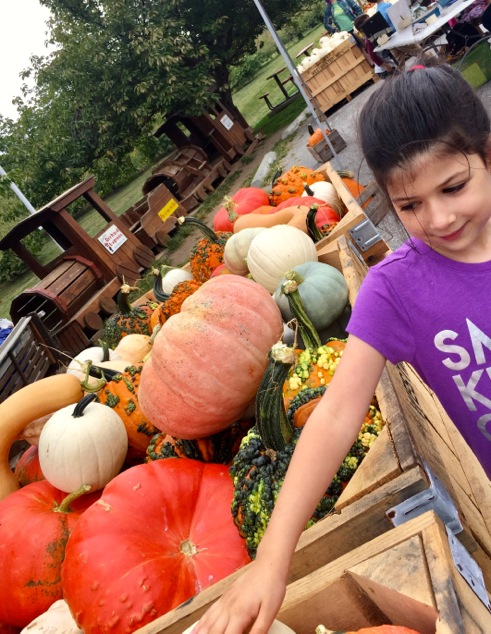 pumpkins-for-sale