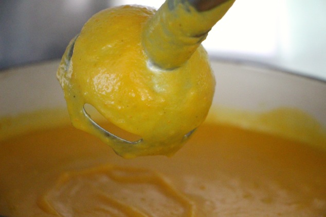 stick-hand-blender-in-butternut-squash-soup-up-close