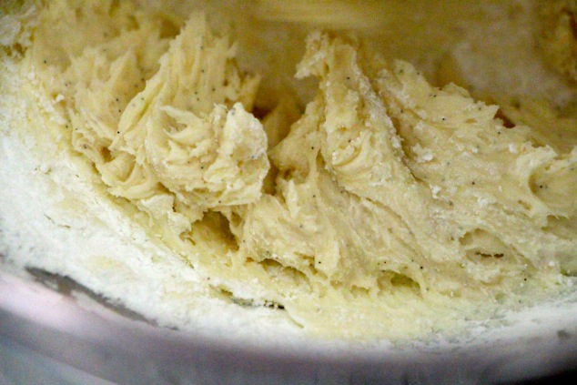 mixing-mascarpone-powdered-sugar-and-vanilla-up-close