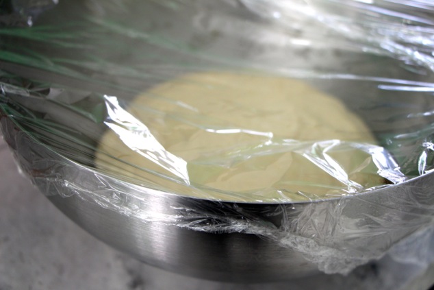 covering the bowl with plastic wrap