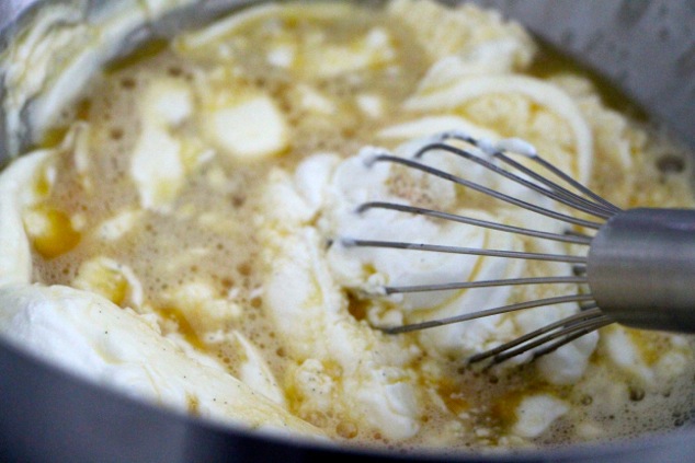 mixing-greek-yogurt-and-ricotta-into-the-mixture