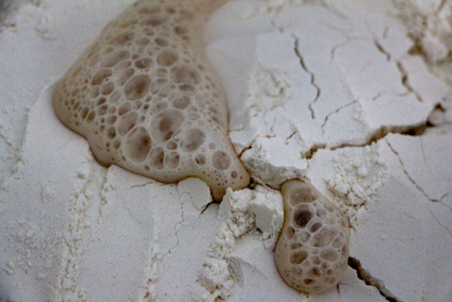 more yeast coming out of the flour