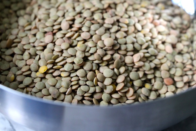 lentils in a bowl