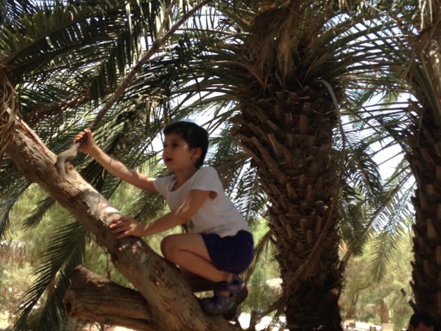 kid at the date orchard