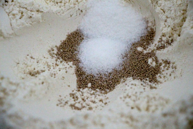 yeast and sugar in flour