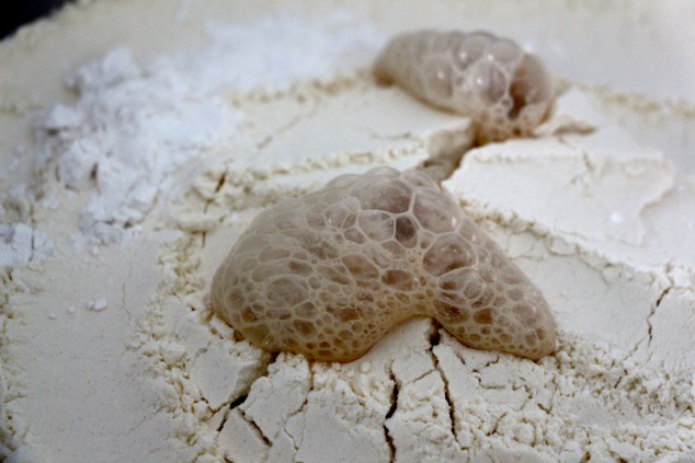 yeast mixture bubbling out to the flour