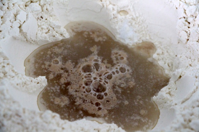 yeast mixture in flour