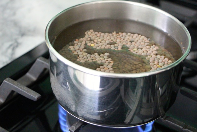 brown lentils in a saucepan