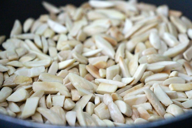 toasted slivered almonds up close