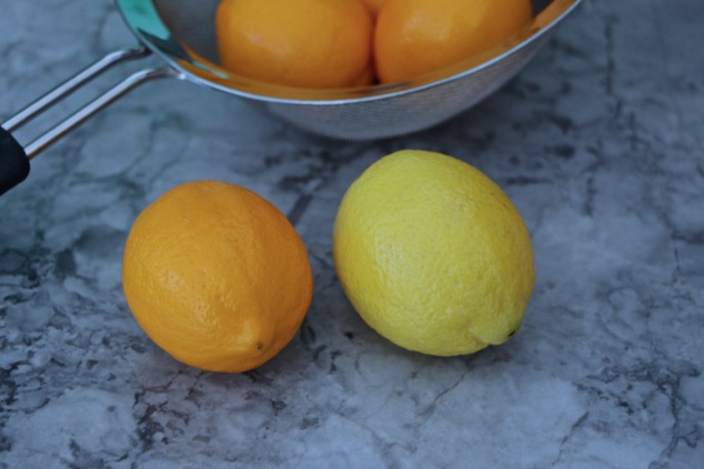 Meyer lemon and regular lemon