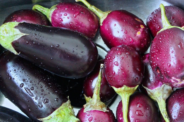 washing eggplants